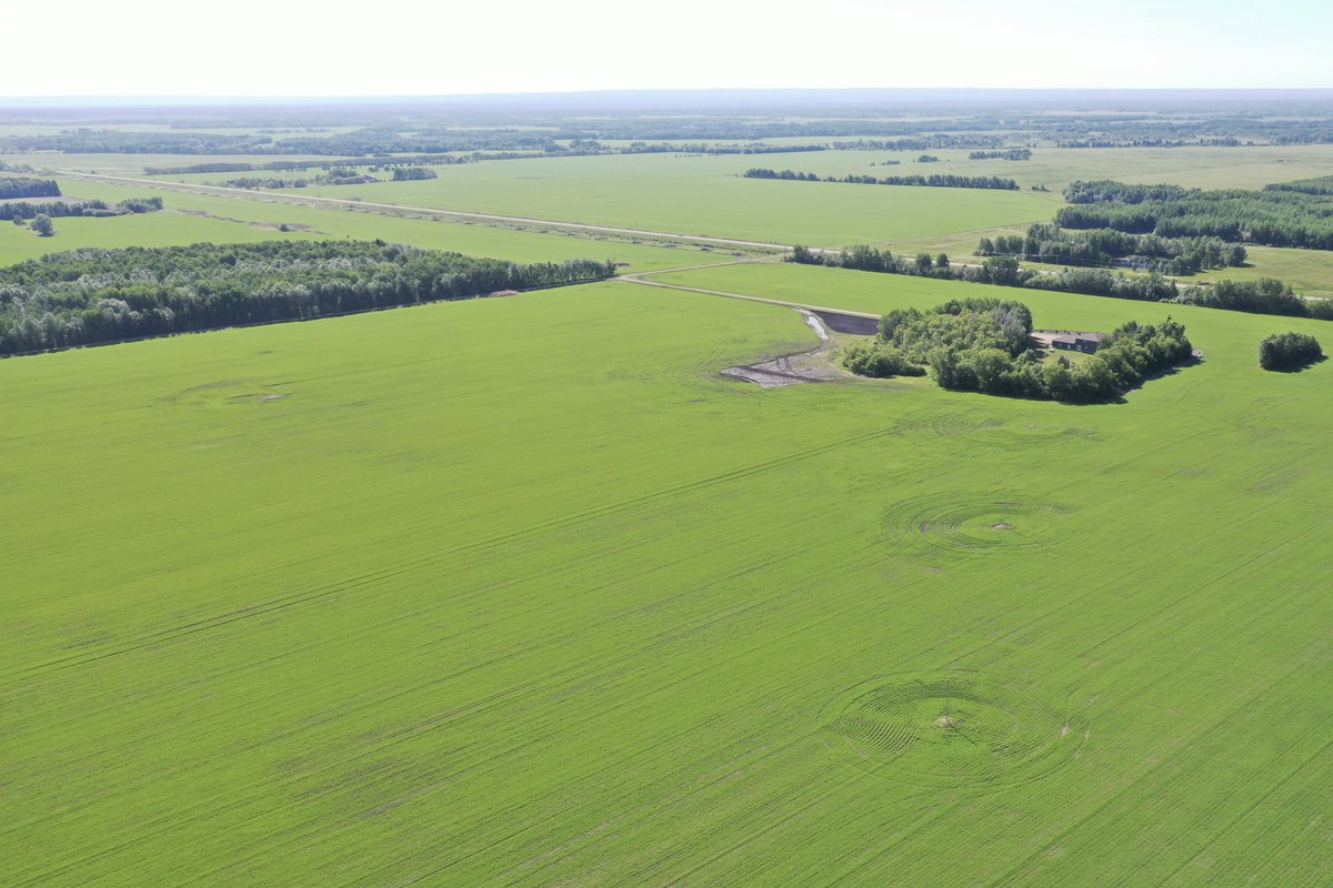 VaderstadNA's tweet photo. Check out this even emergence of #SeedHawk wheat in Hudson Bay, SK. Notice the furrow effect, it helps provide blackened soil for quicker warm-up, faster mineralization while the trash/stubble helps protect against wind erosion and moisture loss #CropChecking https://t.co/E5od9NTqnL