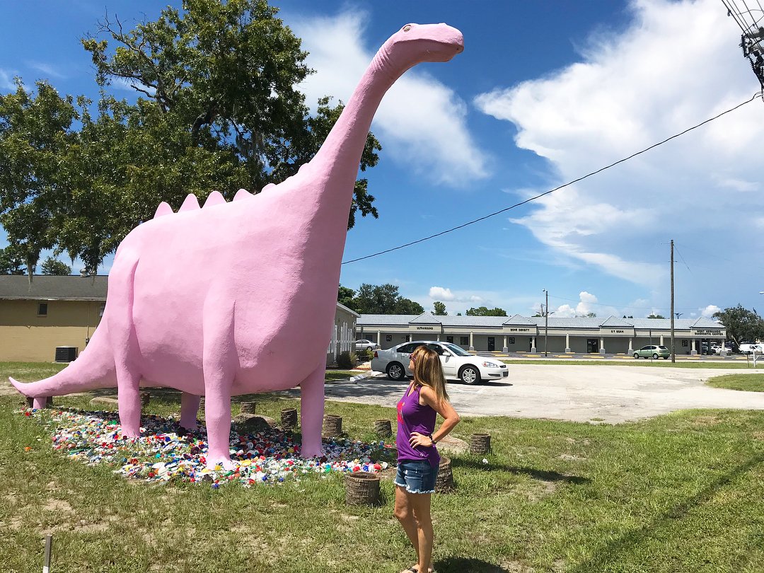 #DYK? 🤔 This bubblegum pink dino was made by Jacob Foxbower, who hoped to draw customers into his taxidermy museum. 🦕 What are your favorite roadside stops? #LoveFL IG: agelfius in @adventure_coast