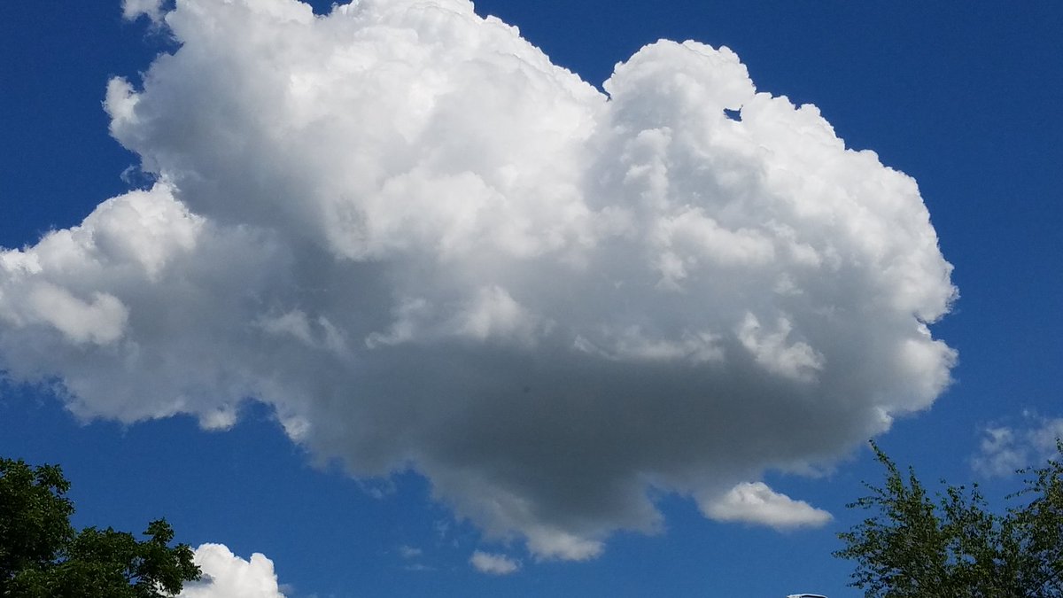 Kristy_Proxy's tweet photo. A giant cloud above my house.
#indiana #cloudicious #cloudscape #skyphotography #photography https://t.co/tpZc5eN44L