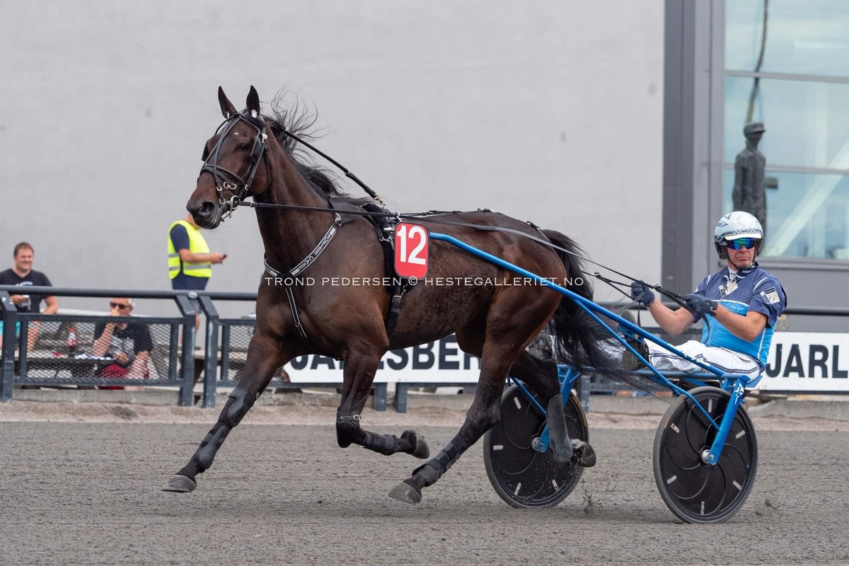 Sofies Case 🌟#drømmenomderby #llv75
