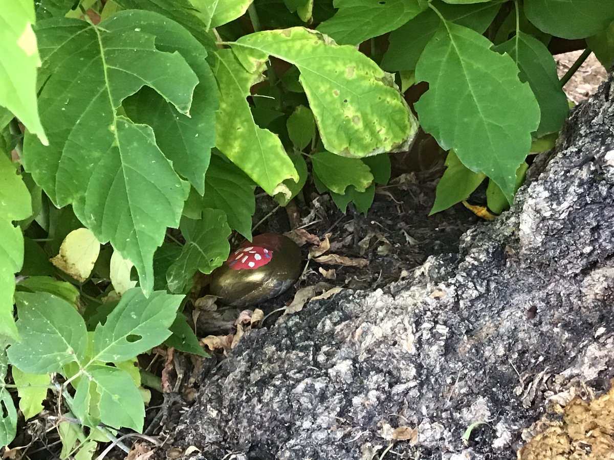 MandyMurph0024's tweet photo. 2M had their Class Farewell and we hid some “Bucket Filling Rocks” for the community to find! We hope it fills your bucket when you find these little surprises. https://t.co/jWxHCoPgOV