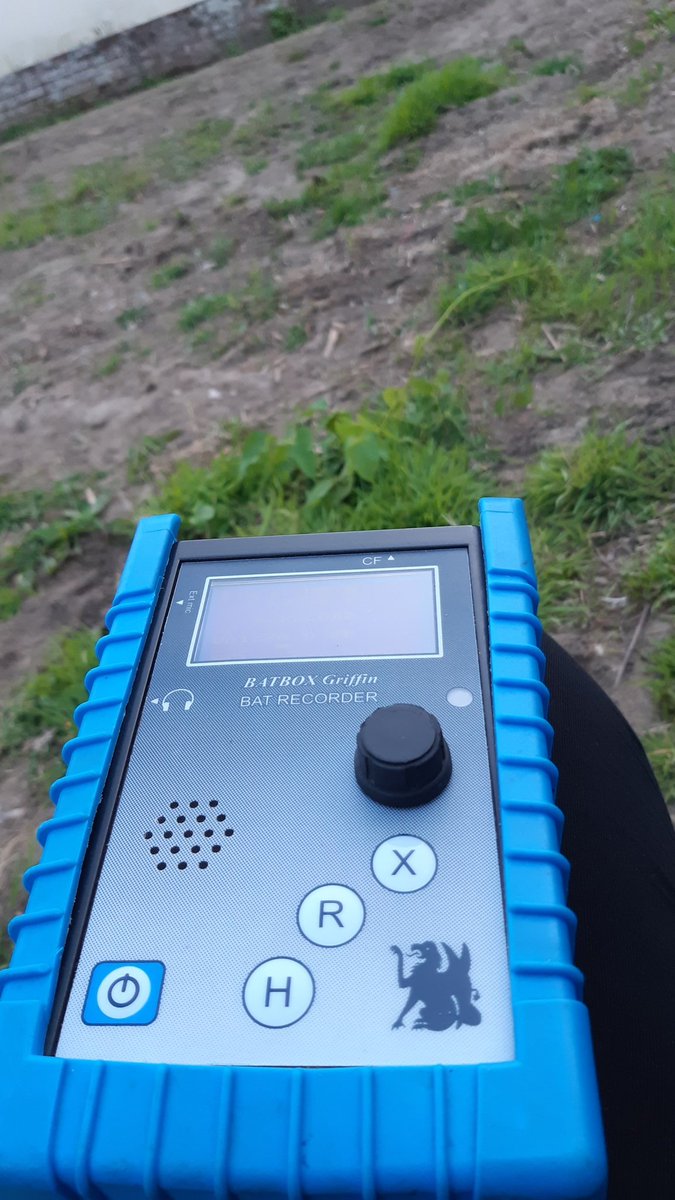 chiropteraecol's tweet photo. Usually 3 layers full of clothes for surveys but haven't even bought a coat with me tonight 🥵🦇 currently still 24c https://t.co/Tr8HckE2VY