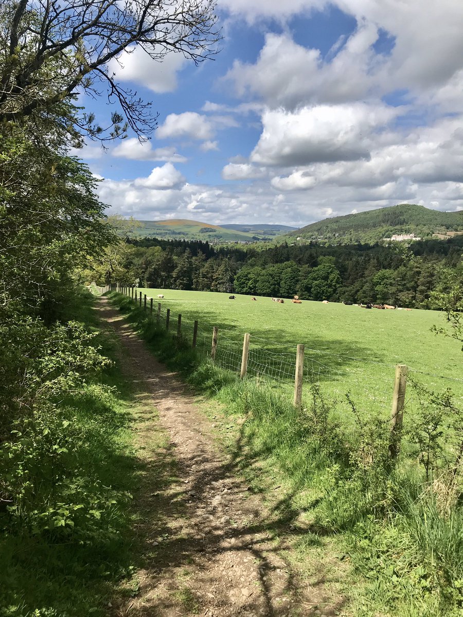 ComeSeeScotland's tweet photo. A1. Iβm a west coast girl living in the beautiful Scottish Borders. Lockdown has meant more time to explore where I now live #Peebles. So many beautiful walks. #scotlandstartshere #windowonscotland #droveroad https://t.co/o66lXugReF
