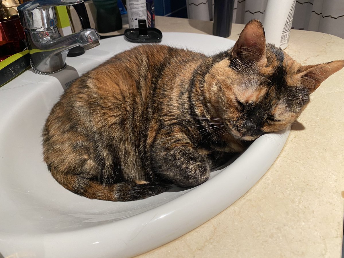 Alexelcapo tweet media