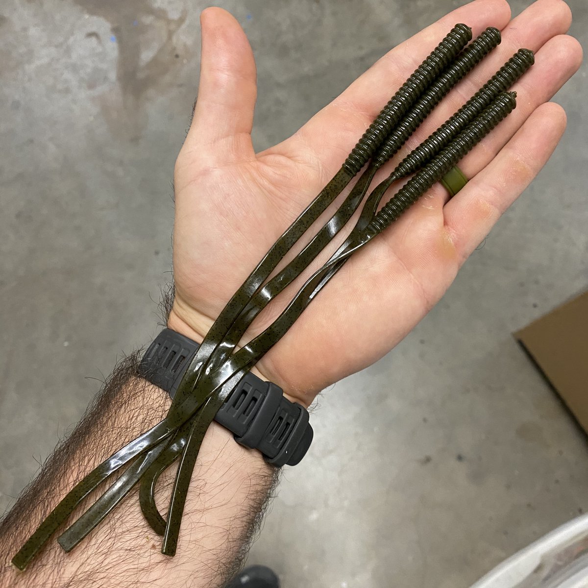 Tapeworm prototype is in! I wanted to make a long, narrow worm with a straight ribbon tail. Time for some testing!