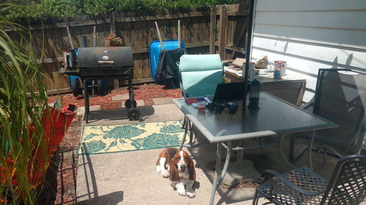 DaStegink's tweet photo. My office this afternoon.  The grill is working, the dog is not much help though. https://t.co/ck6F4CITmo