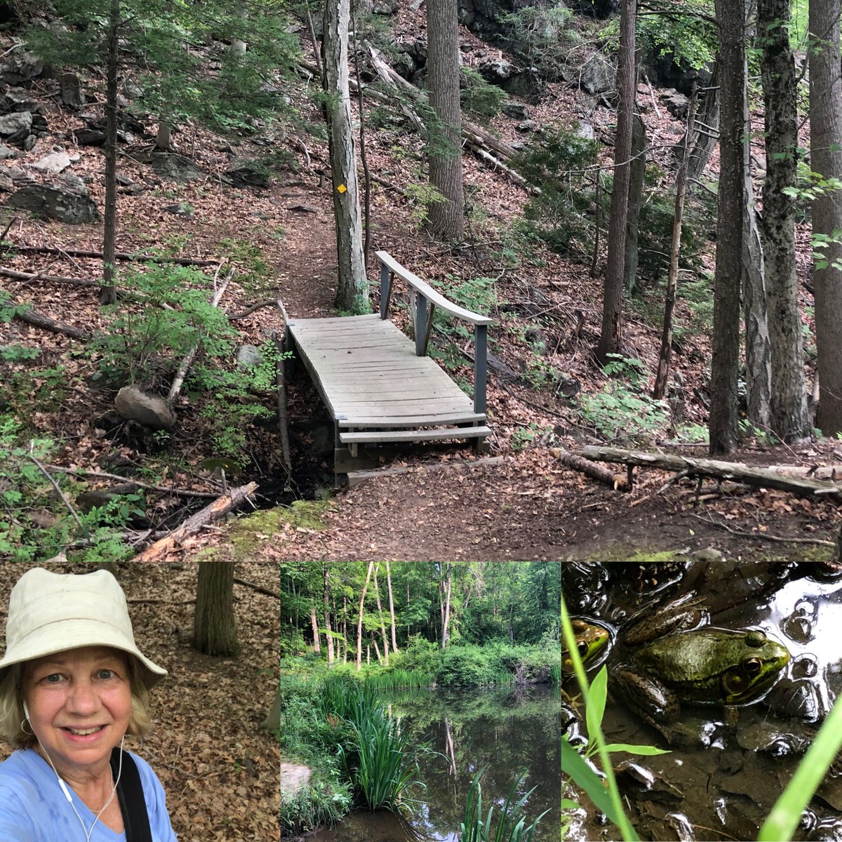 New trail for me today at Teatown . Always a new surprise waiting for hikers . <a href="/Teatown_/">Teatown Lake Reservation</a>