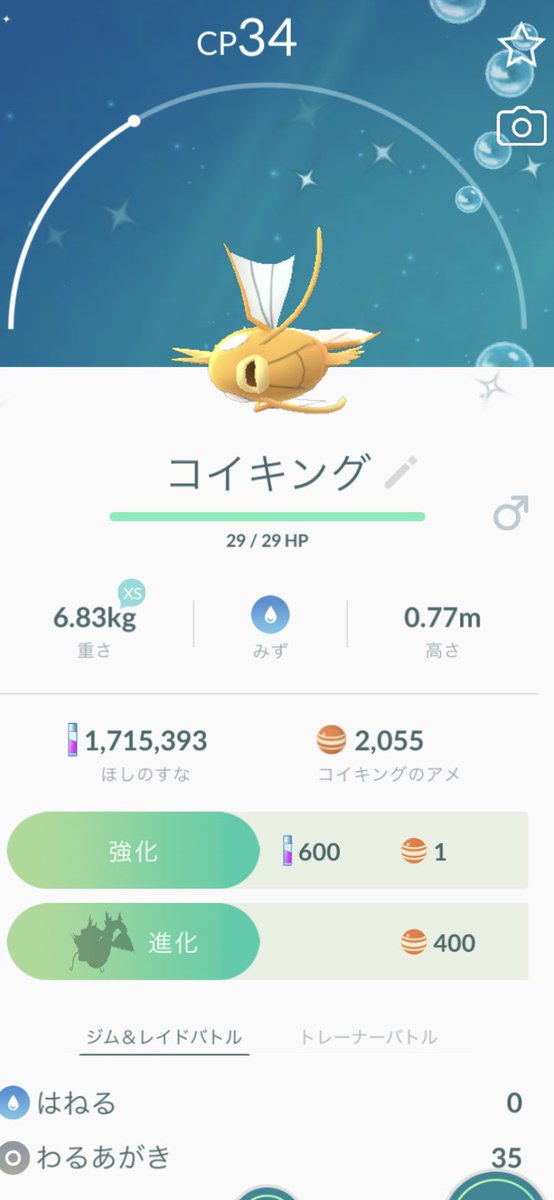 コイキングのアメ