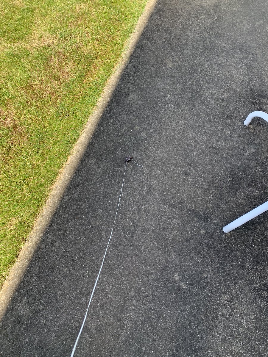 TMZachK's tweet photo. @newSHOCKS Unfortunately I don’t have a furry friend, but here’s me and my homie Rocky out for a nice walk. #newshocks20 https://t.co/OvT0g4WOPt