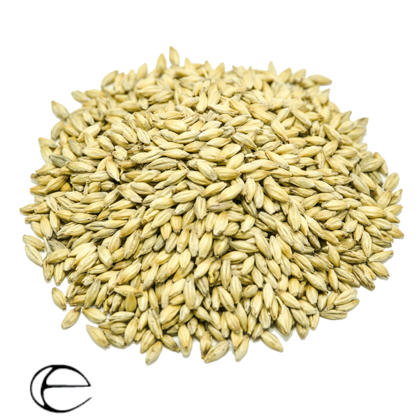 AtlanticBrewSup's tweet photo. Need something to brew this weekend? Take a hint from @CraftBeerBrew and mash this @SchillingBeer Munich-style Helles. As a side note: we have fresh Ursprung Fest Malt, grown in Bavaria, and malted by @epiphanymalt:
https://t.co/yjvlQZDofZ 

Recipe here: https://t.co/eYfb9IJkwM https://t.co/hAEHh39Itc