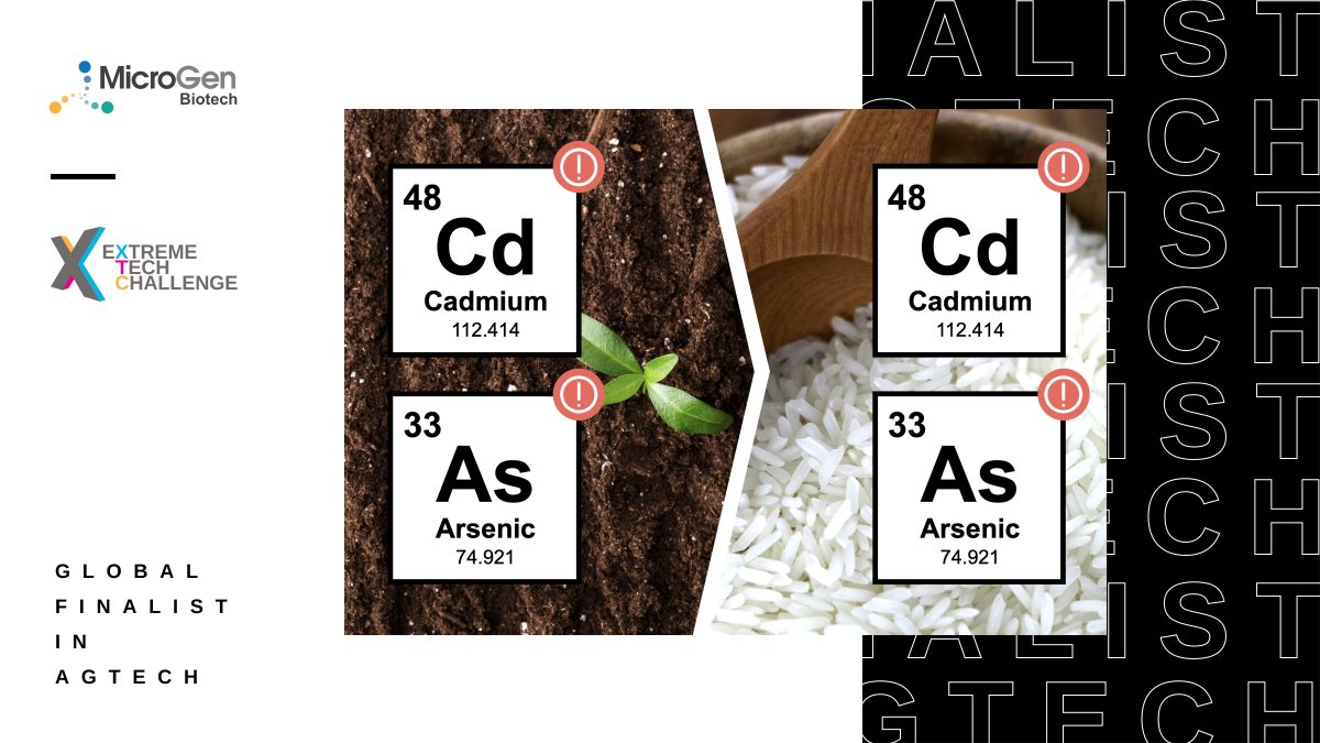ExTechChallenge's tweet photo. ๐#XTC2020 #Agtech Global Finalist: 2B children are ingesting unsafe level of toxic heavy metals like arsenic through dietary consumption. #MicroGenBiotech develops Natural Functional Microbiomes to reduce heavy metals in crops to protect the health of all mankind. #pitchforhope https://t.co/4F9m8Z0xCi