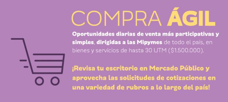 CChCArica's tweet photo. Socios de CChC Arica conocieron #compraagil , mecanismo que apoya el trabajo de las Pymes y que en #Arica ha comercializado más de $80 millones de pesos, charla que contó con el apoyo del seremi de @MH_Arica @SubseHacienda @PabloArancibiaM https://t.co/lsyvRDXdNF