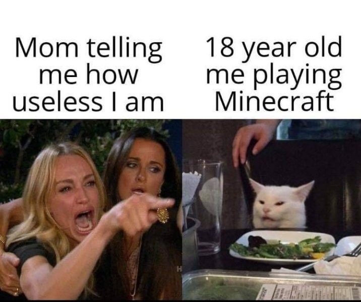 TheMemesMan1's tweet photo. Every day #meme #dankmeme #Minecraft #notsonice https://t.co/Qngujdg2XK