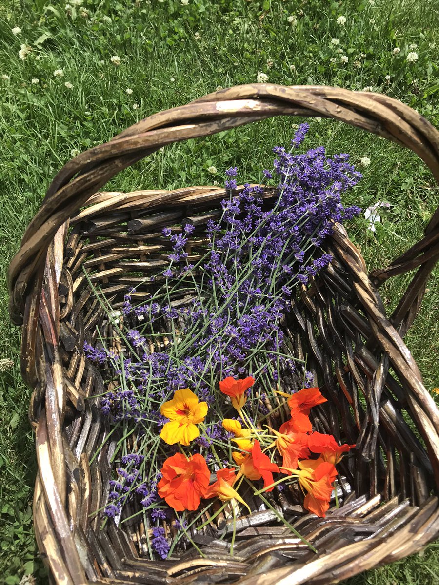 Paige Hansen (She/Her) (@paigehansen2013) on Twitter photo It’s just so bloomin’ great down here <a href="/deltafarmroots/">Farm Roots</a>. We’ve got peas, lettuce, chard, tomato plants & broad beans! Be sure to visit us at 6570 1A in Boundary Bay! <a href="/deltasd37/">DeltaSchoolDistrict</a> @FreshRootsFarms <a href="/CityofDeltaBC/">City of Delta</a> It’s just so bloomin’ great down here <a href="/deltafarmroots/">Farm Roots</a>. We’ve got peas, lettuce, chard, tomato plants & broad beans! Be sure to visit us at 6570 1A in Boundary Bay! <a href="/deltasd37/">DeltaSchoolDistrict</a> @FreshRootsFarms <a href="/CityofDeltaBC/">City of Delta</a>