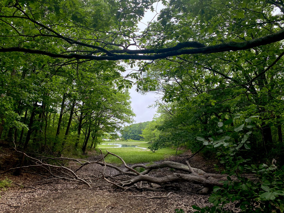  &ndash; bei  Fore River Trail