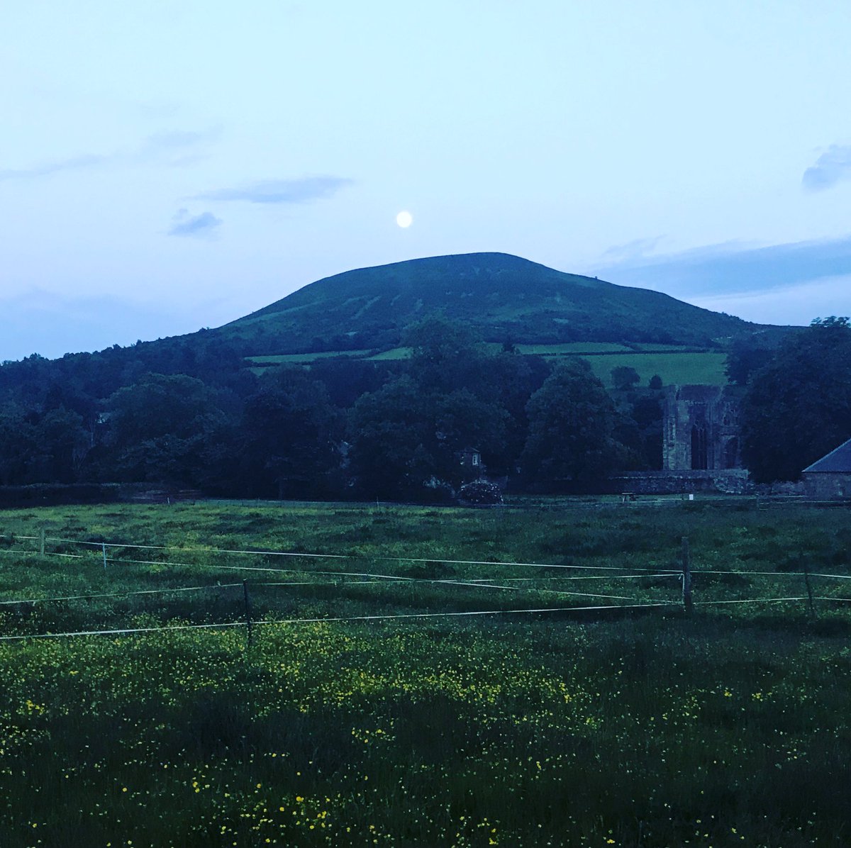 FionaDrane's tweet photo. A6. But for now I’m more than happy to live in the village I love with the Tweed and the Eildon looking over us. We’ve been lucky to live here no more so than now. #scotlandstartshere #ScotlandHour #windowonscotland. https://t.co/l1AooCJCPh