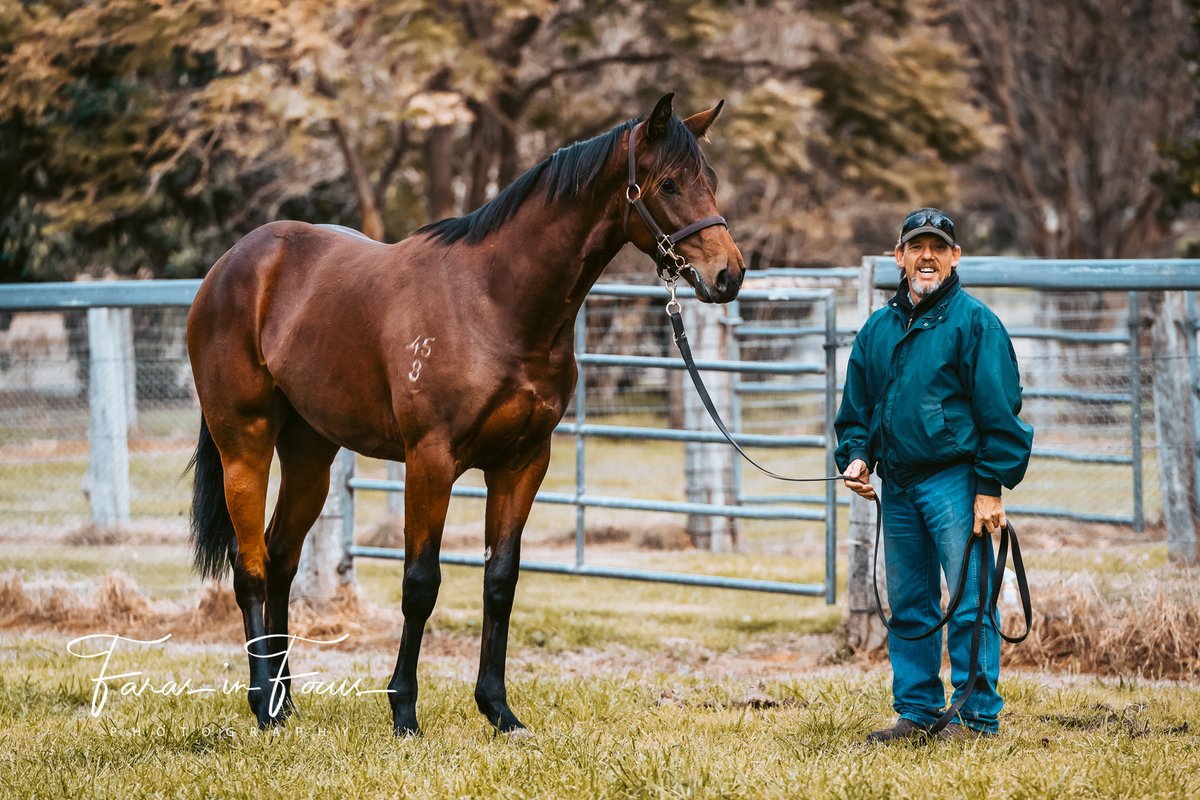 Joan Faras tweet media