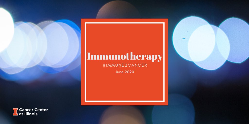 CancerCenterIL's tweet photo. June is Immunotherapy Month! 
🔸
Immunotherapy is a form of cancer treatment that works by helping boost the immune systems of those fighting off cancer. 
🔹
Learn more about our researchers’ work in immunotherapy at https://t.co/Cc94tyzUpz
 #FightingCancer #ILLINOIS https://t.co/STqxULVfBC