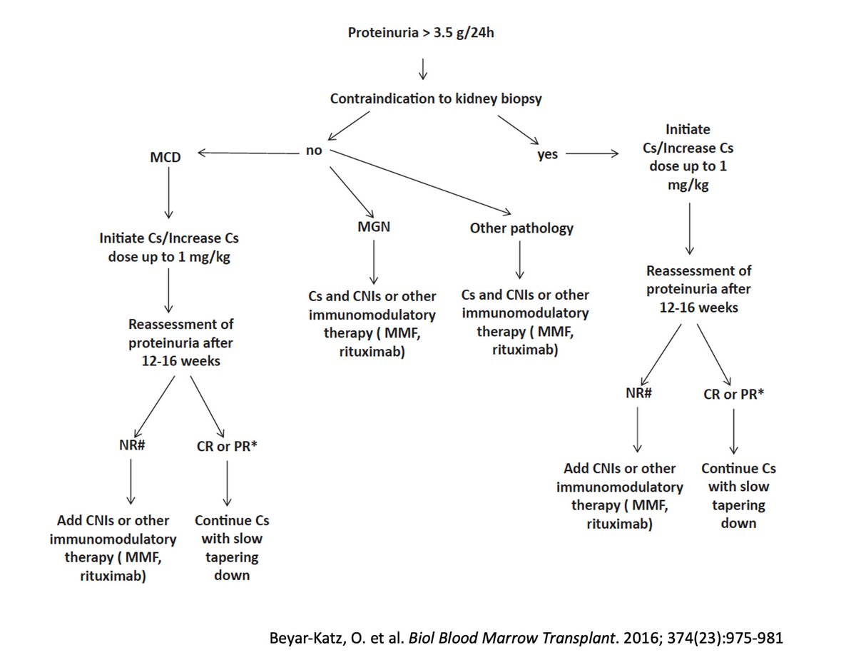7/9Depending on the histopathologic findings, treatment options include:  Corticosteroids (Cs) Calcineurin inhibitors (CNIs) RituximabThis is mostly based on case reports and case series (see proposed treatment algorithm )