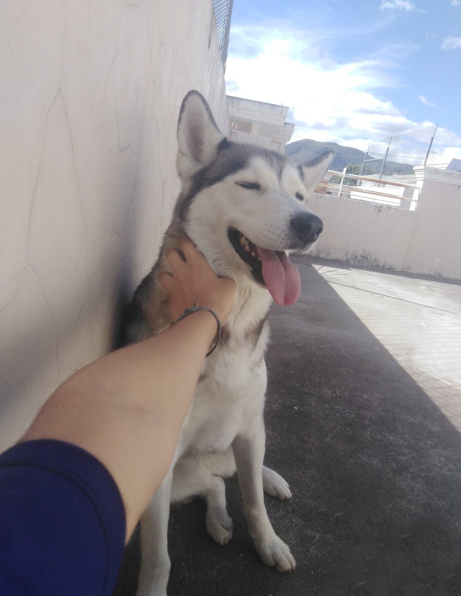 DYALRO's tweet image. ...