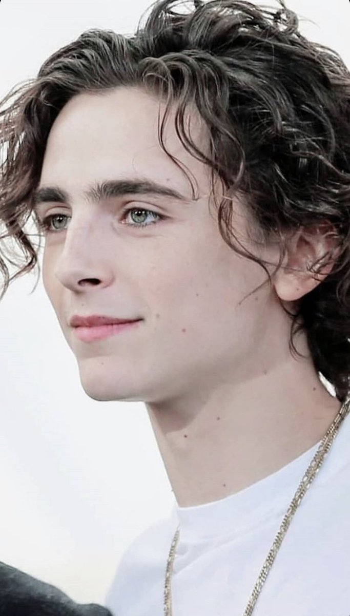 musetta - timothée chalamet daily on X: the way timothée