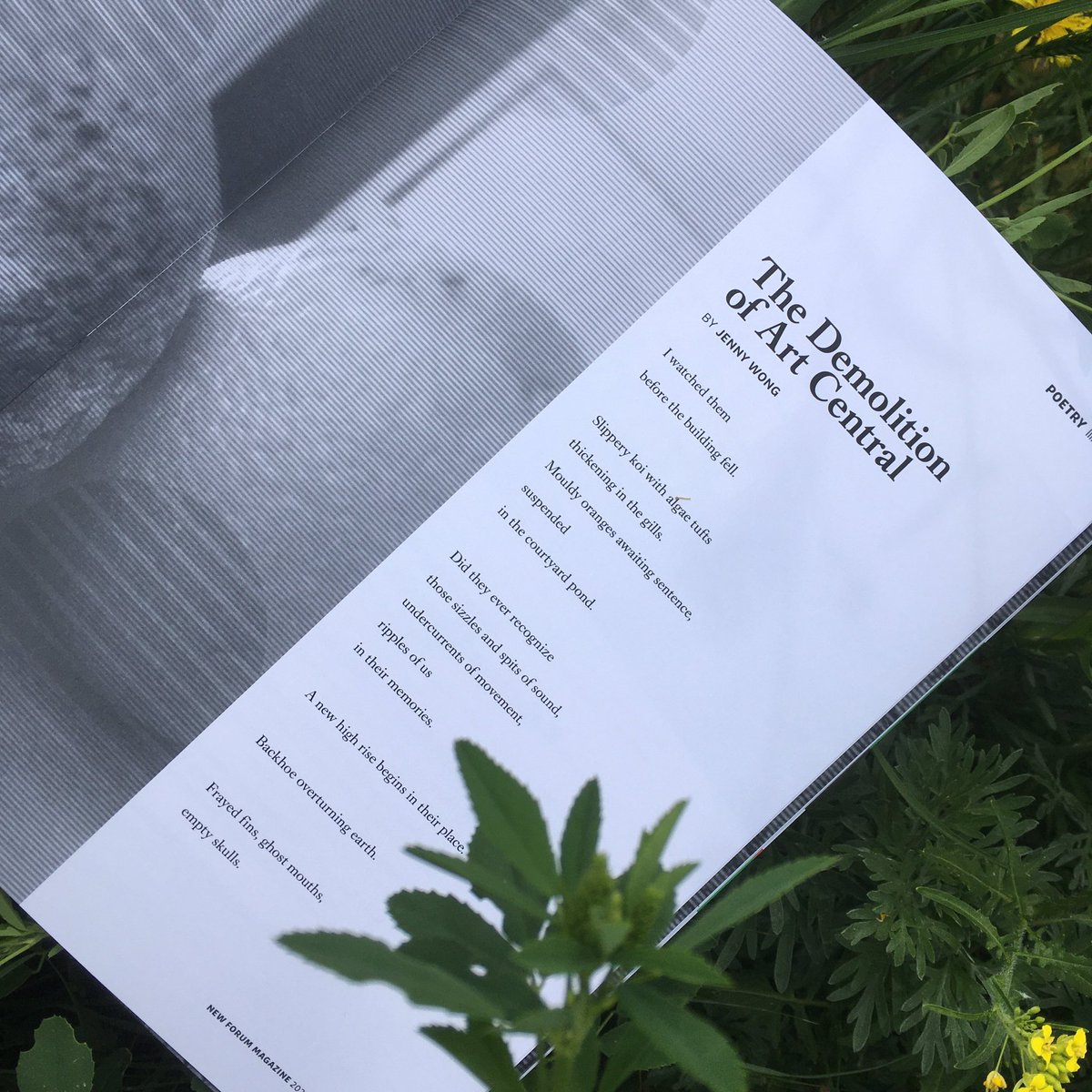jenwithwords's tweet photo. In 2014, the Art Central building in downtown #yyc was demolished. I still miss it.

Thank-you @NewforumAB for including my poem about this old local place in their gorgeous Vol. 2 (available @shelflifeyyc, @EightyEightBrew). https://t.co/idCU4kbnOb