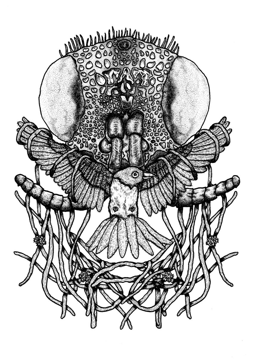 biomedia_lab's tweet photo. 🙌🏾Shout out and big thanks to Xavier Moss —artist, naturalist, muralist, biological illustrator, educator— for sharing your work + leading a #DynamicSketching wrkshp to our #NaturalHistory +#BiologicalArt class! Check out Xavier's work: https://t.co/cG4kGfxuvh #ArtScience #BioArt https://t.co/LqJvepog1x