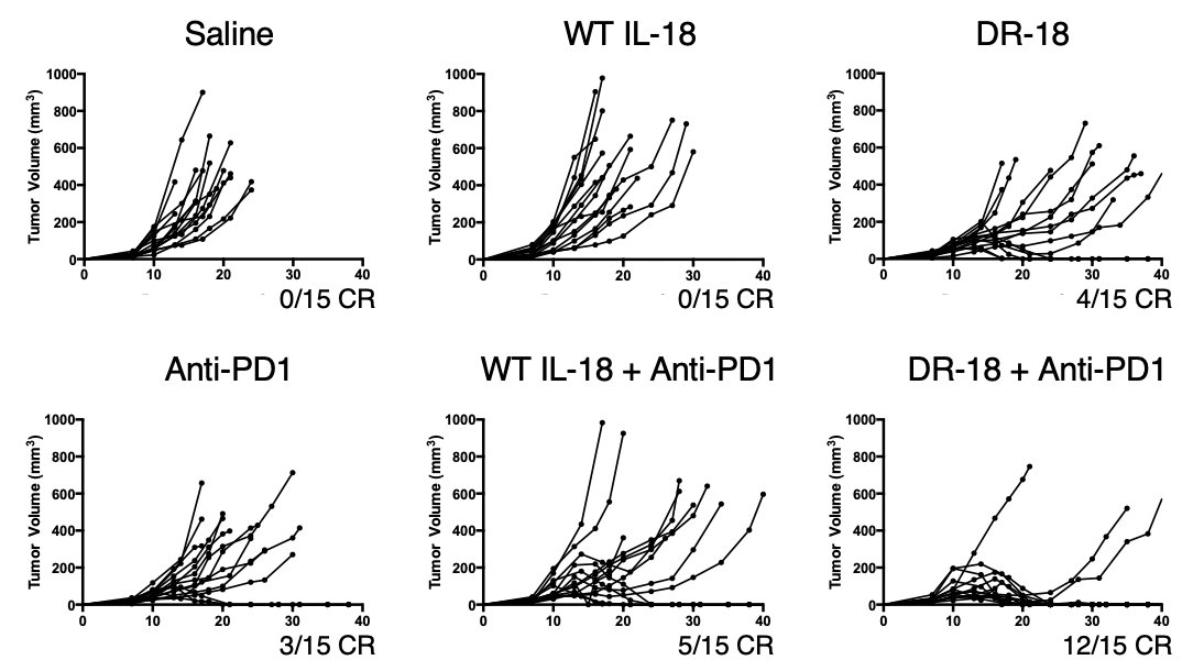 When we put DR-18 into mouse tumor models and compared it to WT IL-18, the results were dramatic. Just like in patients, WT IL-18 was entirely ineffective in mice. By contrast, DR-18 had single-agent activity that could clear established tumors and synergize with anti-PD1 (13/)