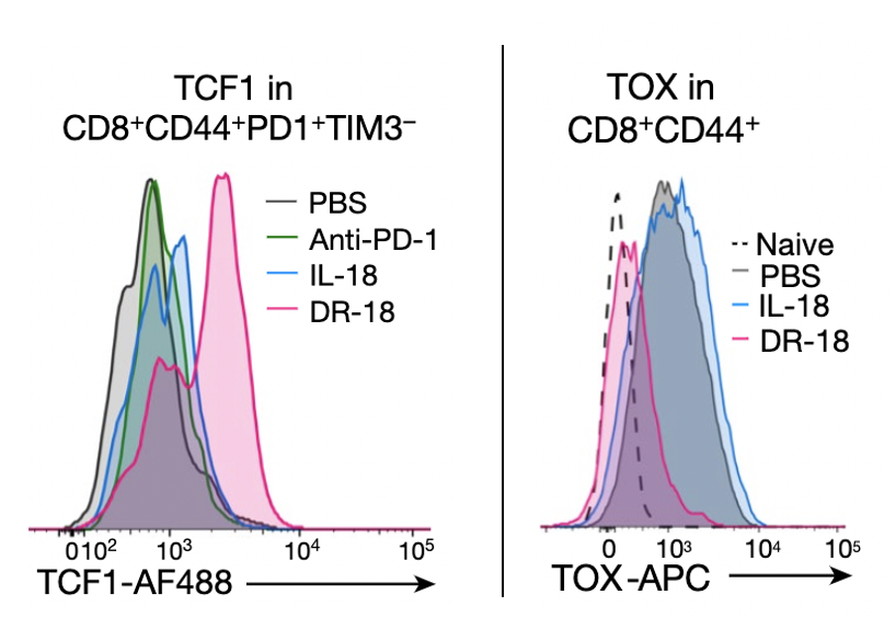 DR-18's MOA is pretty unique. To make a long story short, we found that it expands a key population of "stem-like" T cells that express TCF1 and skews their differentiation toward a highly active, polyfunctional state and away from an exhausted phenotype driven by TOX (14/)