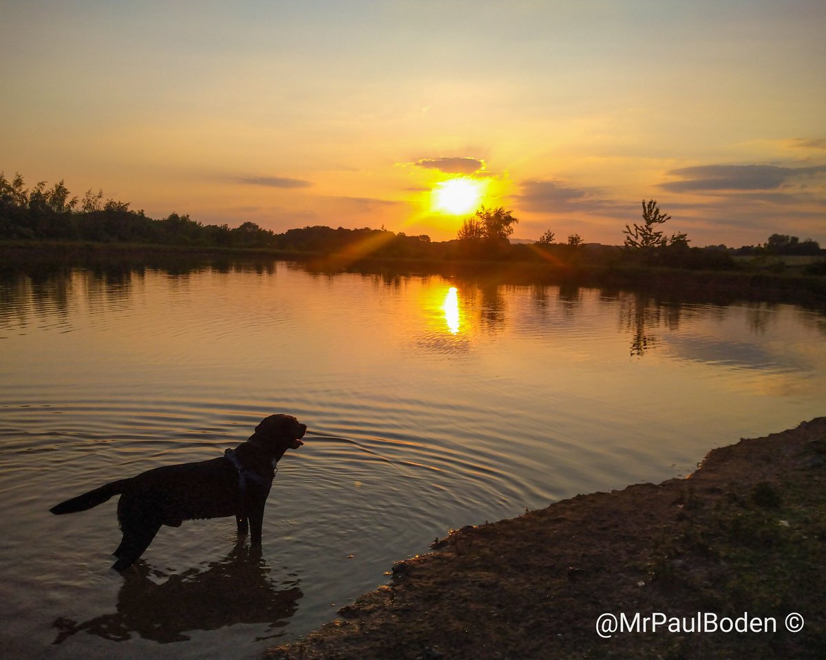 MrPaulBoden's tweet photo. St Marys Sunset
.
.
.
#suttonmaddock #suttonmaddockchurch #stmaryschurchsuttonmaddock #stmaryschurch #reflection #poolreflection #sunset #sunsetting https://t.co/LML2WAwKi0