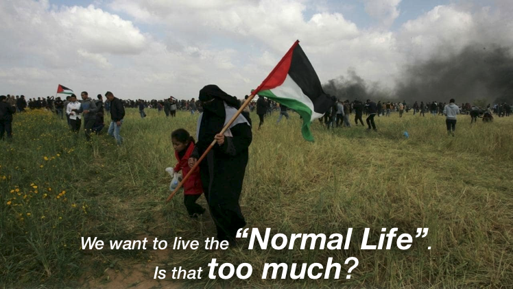 178kakapo's tweet photo. #Unity4Gaza
#OpenGaza
#WorldWithGaza
#StandUp4Gaza
#Right2Live4Palestinians🇵🇸 https://t.co/lFnSZTJw6C