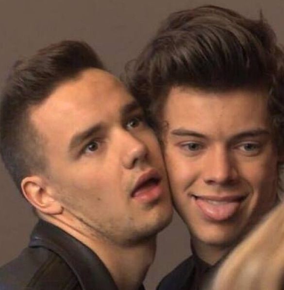 𝑳𝒊𝒓𝒓𝒚 𝑺𝒕𝒂𝒚𝒏𝒆 (𝙻𝚒𝚊𝚖/𝙷𝚊𝚛𝚛𝚢) "Harry is like a younger brother. We do exercises together then he asks me to prepare a sandwich for the effort" -Liam