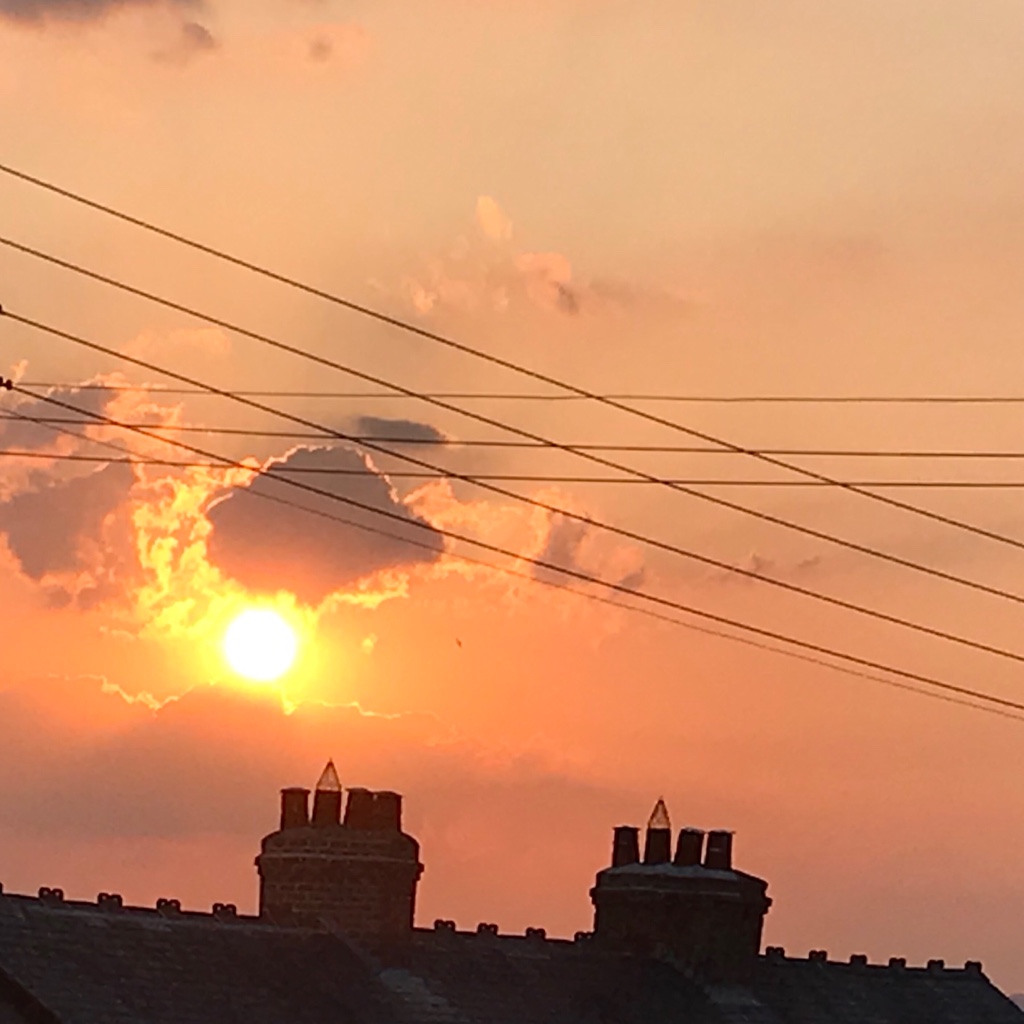 hjd_aitken's tweet photo. Street level sunset tonight. Peachy!
#Northumberland #skydistraction 
@SharonHardy 😍 https://t.co/093MxoDfQ1