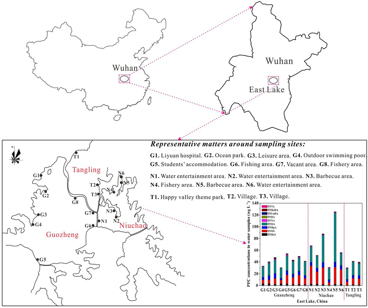 East Lake is 2nd largest urban lake in ChinaTotal water area of 33 km2Average depth of 2.5 mSince 2000, with rapid industrialization & urbanization, chemical pollutants continuously discharged No dilution ability due closed shapeMany PFCs, PFOS, PFOA: https://www.nature.com/articles/srep38633