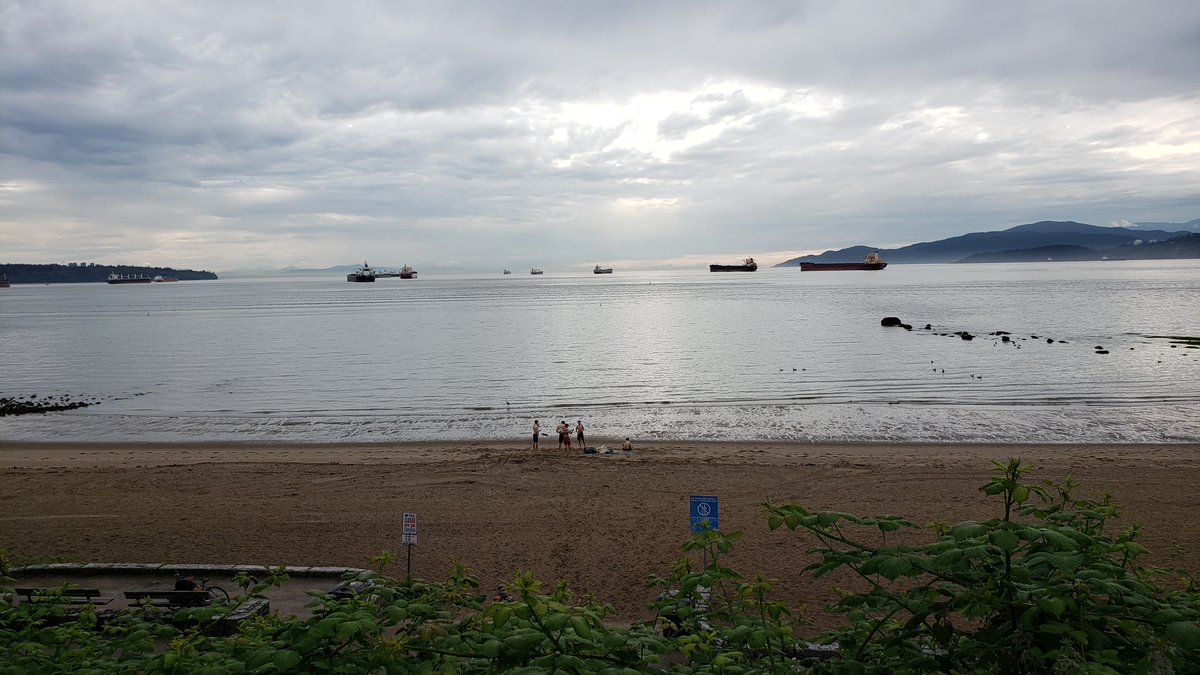 It was a beautiful ride. A warm, humid afternoon and I felt like I had the park mostly to myself. After the storm und drang of the past week, I expected something other than the wonderful peacefulness I experienced. Rather than the online ugliness, I got this instead.