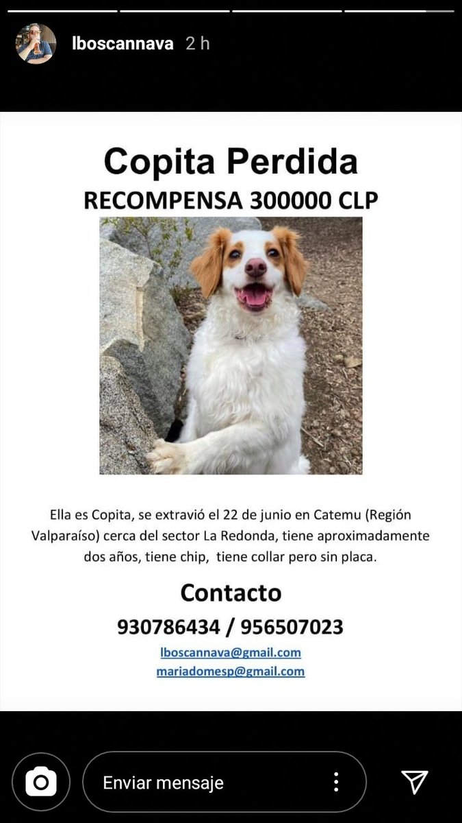 <a href="/ChilePerdidos/">MascotaPerdidaChile</a> por favor ayúdame a difundir gracias