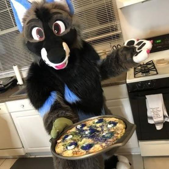 CazumFurry's tweet photo. @Cazum8Videos uWu n-noite =^∇^*=(=ↀωↀ=)ฅ•ω•ฅ https://t.co/pAxIpFg8QE