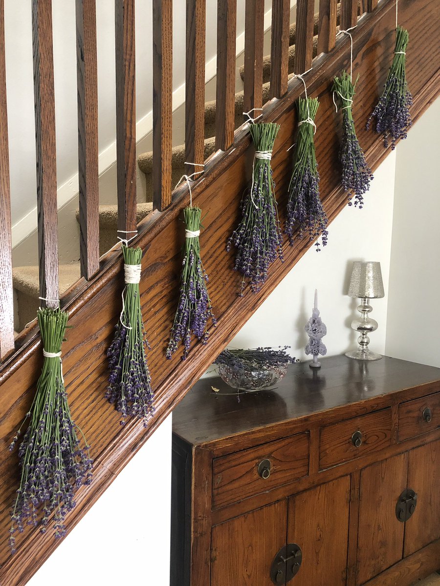 Aromacentric tweet media