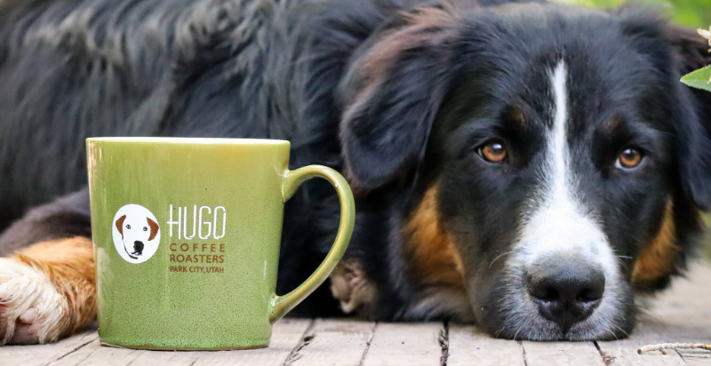 GravityFedInc's tweet image. The @thehugocoffee partner program is live! Special considerations for partners including vanity offer-code based tracking (no links!), product samples, and media sharing opportunities.

More info/sign-up link: gravityfed.com/hugo-coffee-pa…

#affiliatemarketing #animalrescue