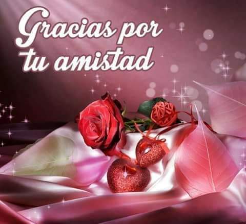 Patrici58275001's tweet photo. ** #Graciasss ♥🌺
Por tu linda #amistaddd .... ** 🍀🌻🍁🍂🌱🌟 https://t.co/xg1zsdDLSF