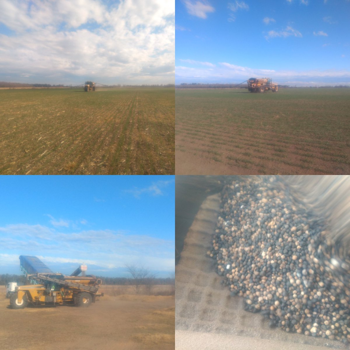 andreshadoc's tweet photo. #Variando. Fertilización estratégica, reposición de P-S por ambientes. @NutrienDigital @redbaron_ar UrsulaGis. Est. "La Luciérnaga", Rufino. https://t.co/E1eRtFcV42