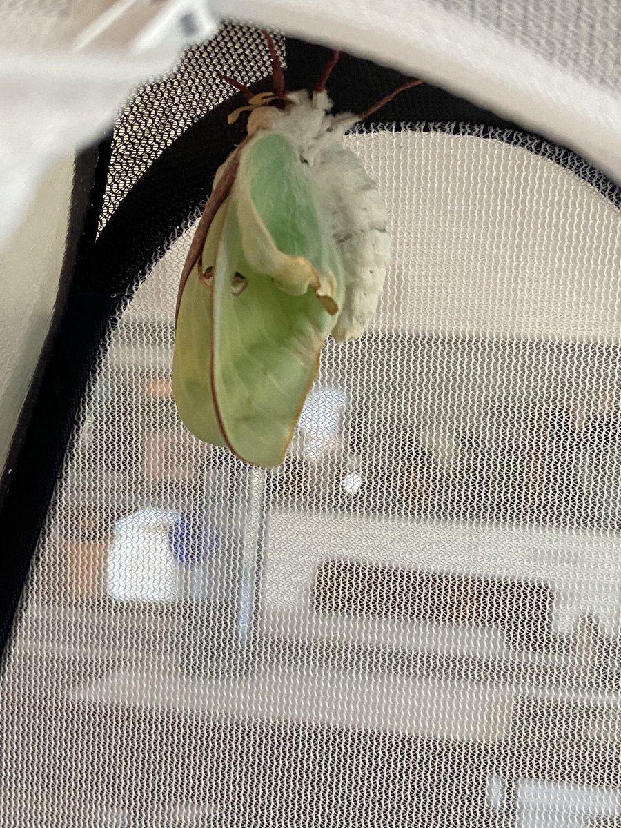 18 mins after hatching!