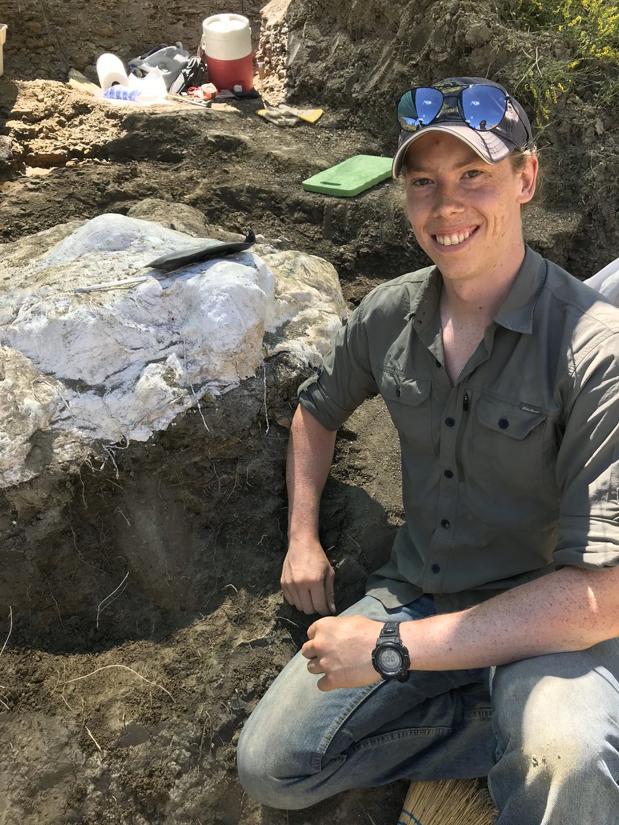In the first hour,  @eebtoronto PhD student in my lab Ryan Wilkinson struck lucky first- he started to uncover a MASSIVE brow horn plunging straight down into the rock. This horn is bigger than a baseball bat around. Great job Ryan!  #PrehistoricRoadTripPBS