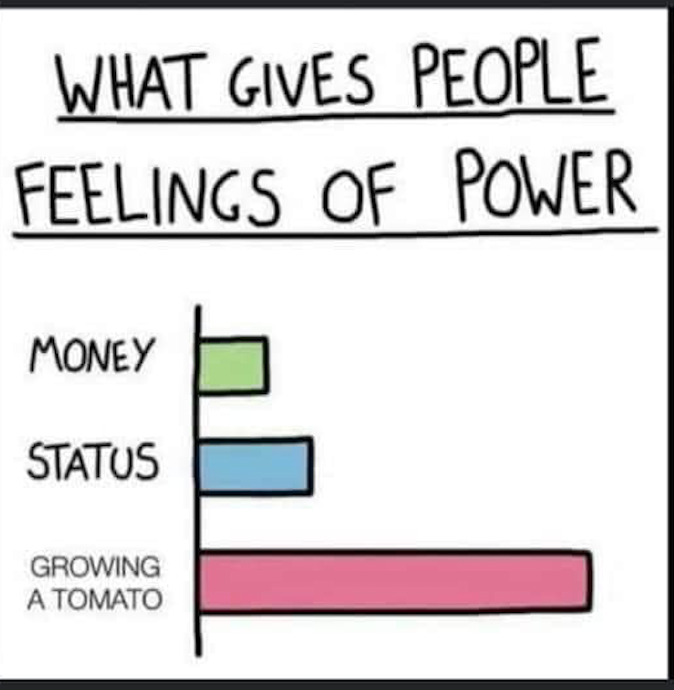 DLArmillei's tweet photo. So true. #tomatoes #feelingsofpower #power #humor #funnymemes https://t.co/6TrJ5a8vu4