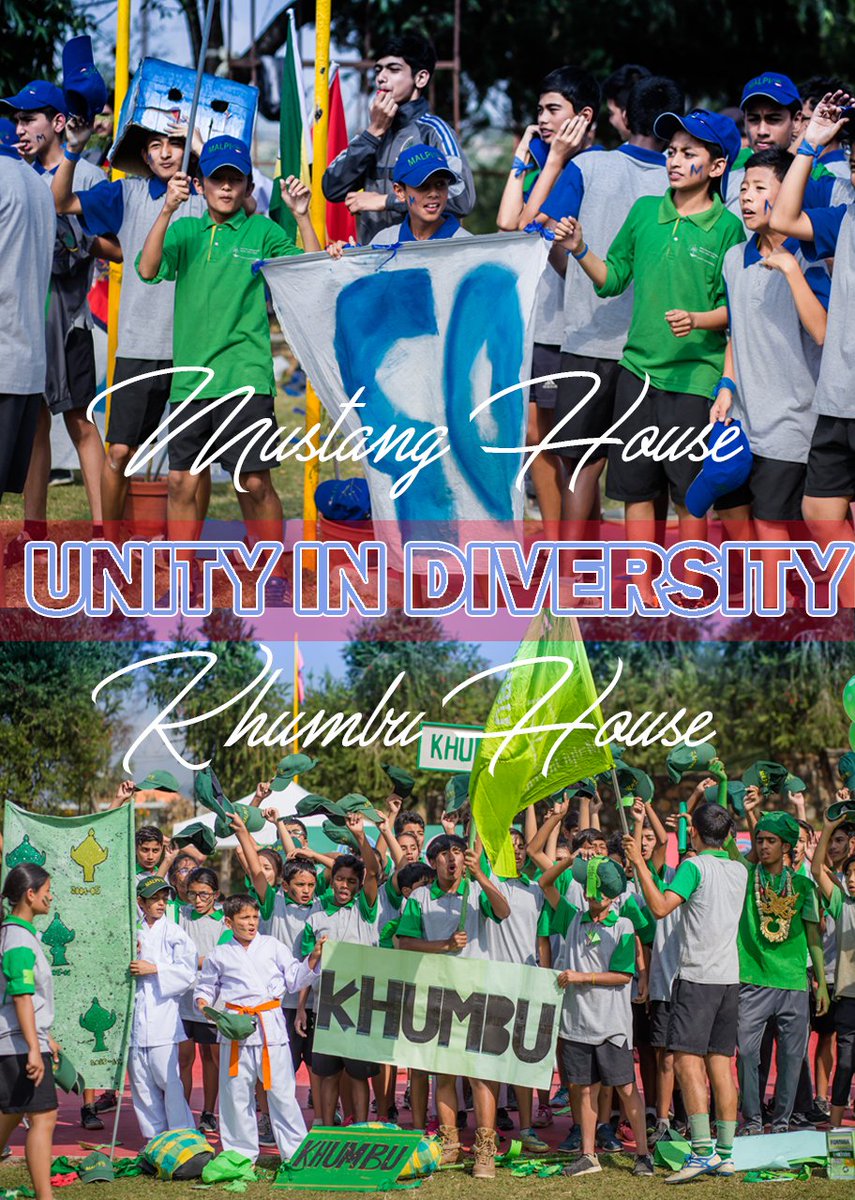 Malpi International School tweet media