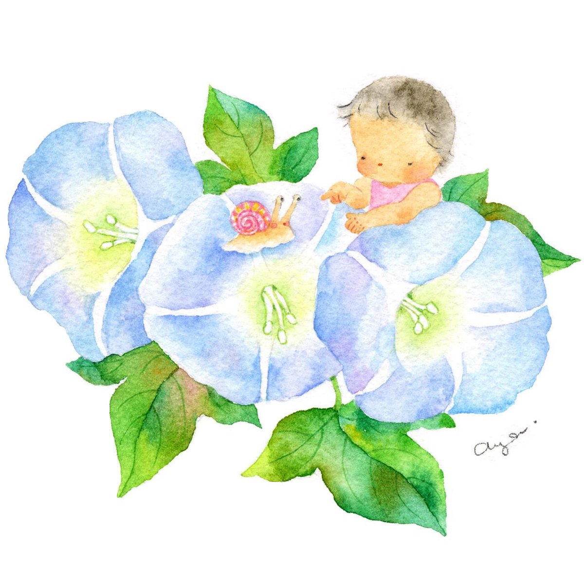 こばやしあや 今日の誕生花 6月25日 昼顔 Bindweed 昼顔の花言葉は 絆 友達のよしみ 絵 水彩画 イラスト Drawing Illustration Watercolor スケッチ 花言葉 誕生花 今日の花 Happybirthday おめでとう 6月25日 昼顔