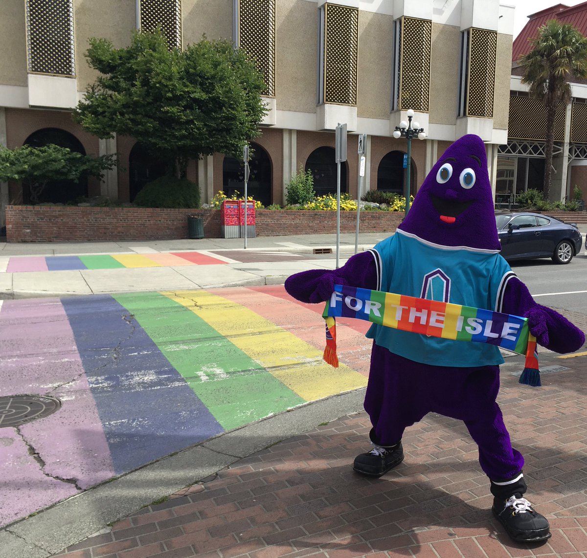 ❤️🧡💛💚💙💜
#happypridemonth🌈 #fortheisle #loveislove #mascotsareforeveryone #victoriabc #yyj