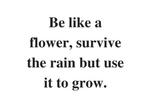 meagprinciPAL's tweet photo. Ran across this and it spoke to me. In times of change, learn from nature. Be like a flower! I think I will be an Orchid!!! What will you blossom into after this rain??? #perspective #changeisuncomfortable #growthcomesfromchange #beaflower #blossomwhereyouareplanted https://t.co/JI2AuWK0gr