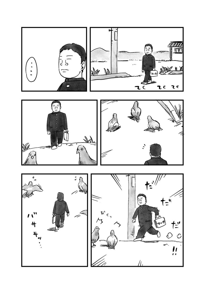【ハト部】
【最新話更新!】

背景描く前に心の中の岡本と一緒にストリートビューで母校までの道をたどってみました
そんなふうには見えない絵だけど笑

つづきはケイクスのページで↓ https://t.co/VTZKXwtTzD 