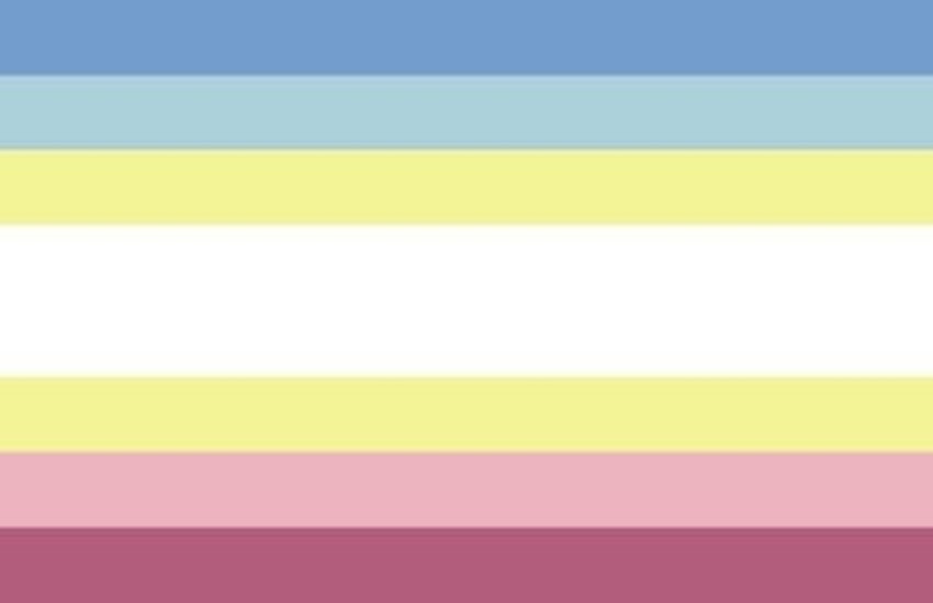 June 24th (Anti-Pedophilia):For some time, pedophiles (also called "MAPS") have tried to push themselves into the LGBTQ+ community. These people have not been welcomed or included in the community, as being a pedophile is not a sexuality.Beware of flags that look like these: